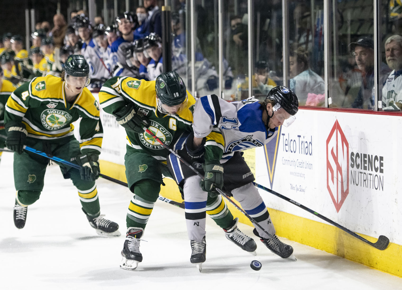 Musketeers vs Fargo Force hockey